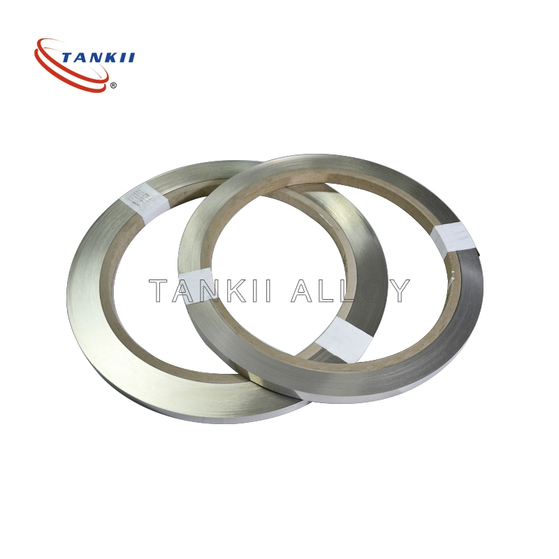 TANKII N02200 Striscia di nichel al 99,6% Striscia di nichel pura per batterie 0